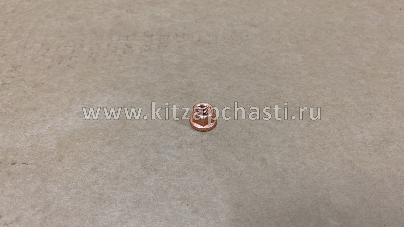 Гайка стопорная выпускного коллектора TANK 700 1008024-EG01T
