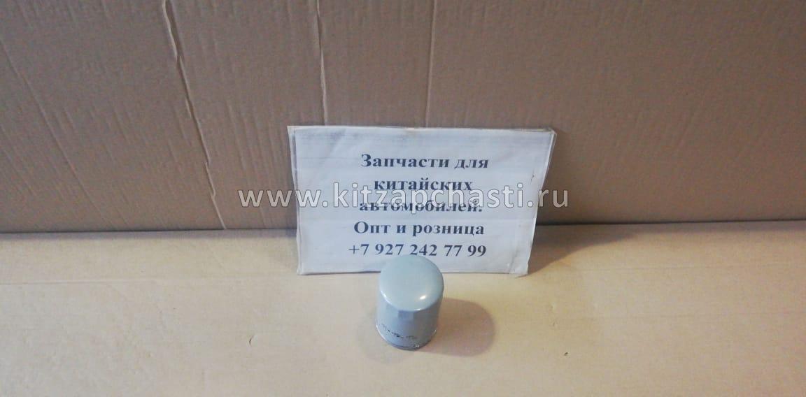 Фильтр масляный HAVAL Jolion 2024 1017100XEB02